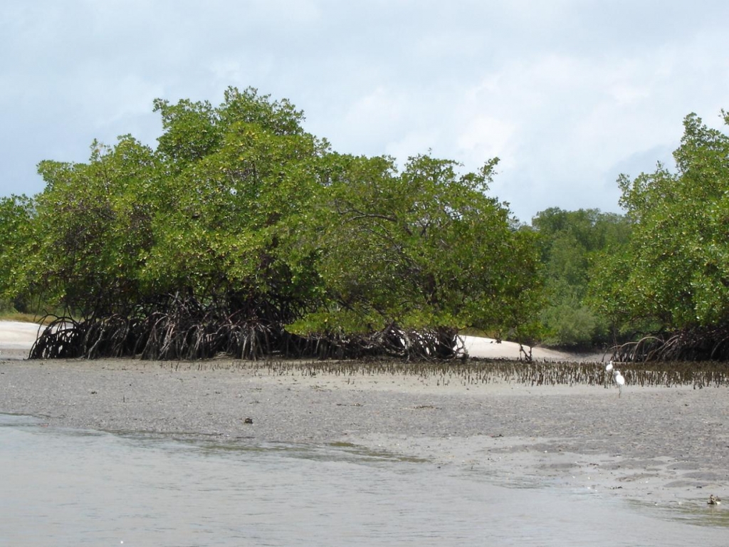 Foto de Rio Tinto (PB), Brasil