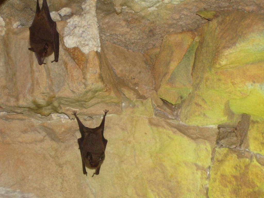Foto de Sete Lagoas (MG), Brasil