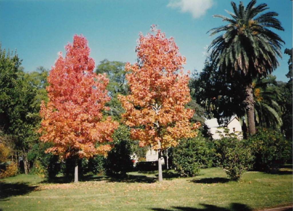 Foto de Rosario (Santa Fe), Argentina