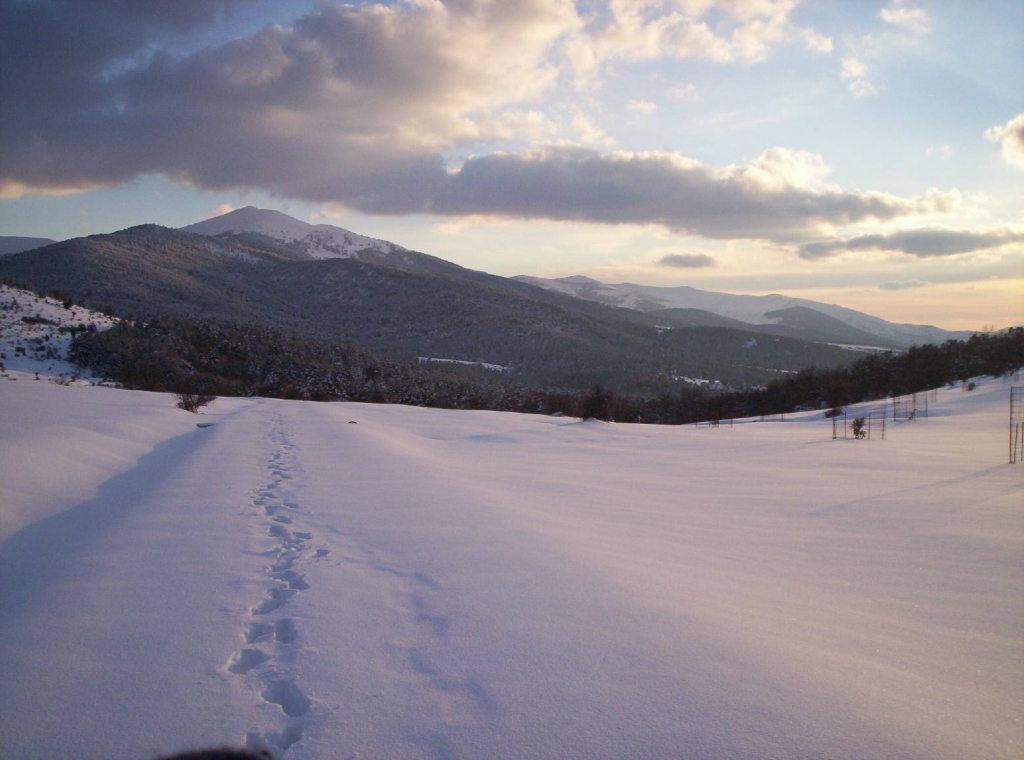 Foto de Revenga (Segovia), España