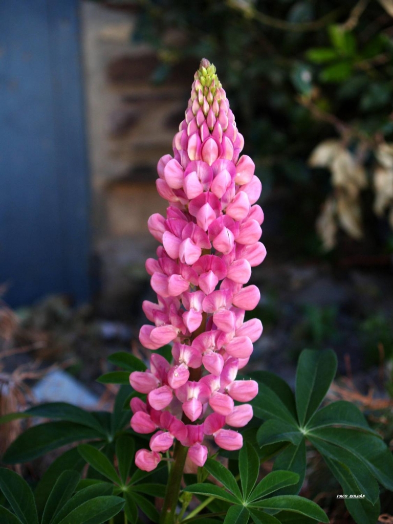 Foto de Sierra Nevada (Granada), España