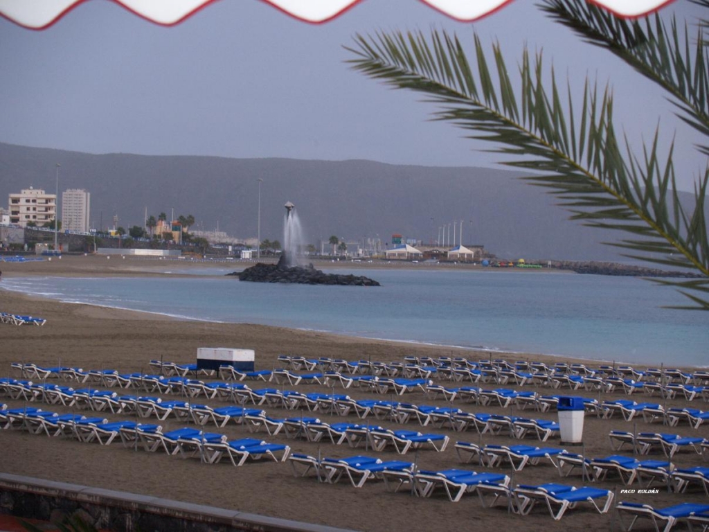 Foto de Tenerife (Santa Cruz de Tenerife), España