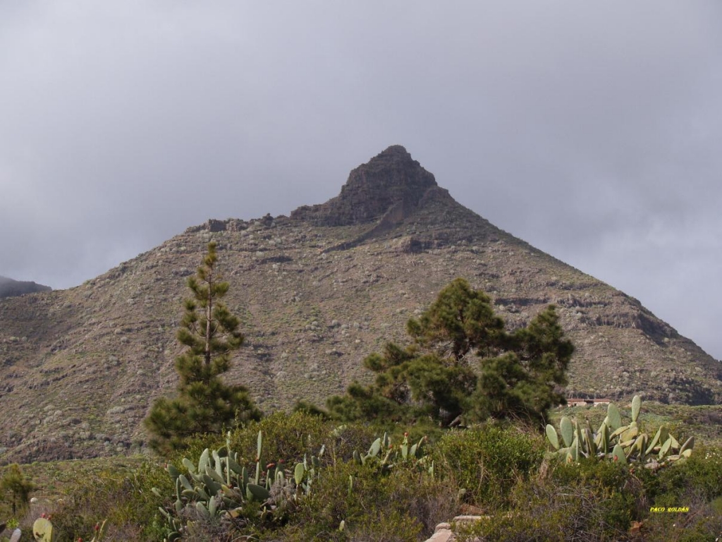 Foto de Tenerife (Santa Cruz de Tenerife), España