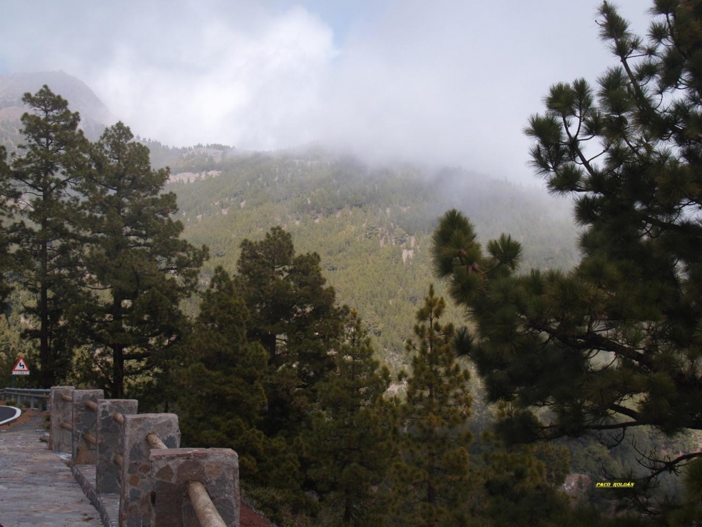 Foto de Tenerife (Santa Cruz de Tenerife), España