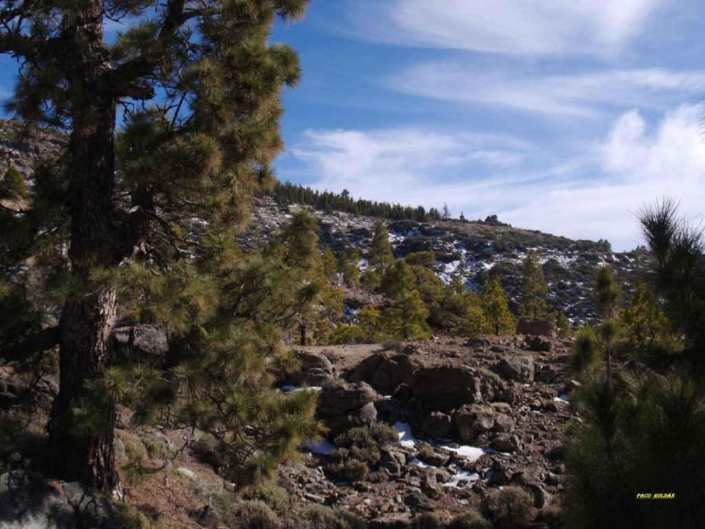 Foto de Tenerife (Santa Cruz de Tenerife), España