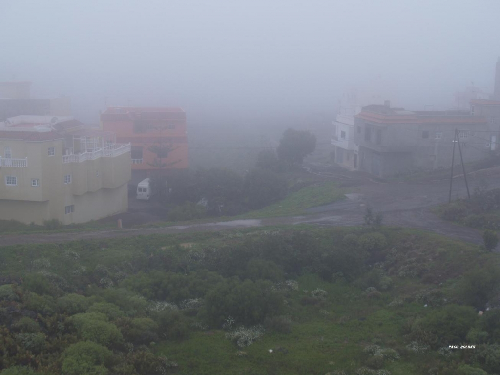 Foto de Tenerife (Santa Cruz de Tenerife), España