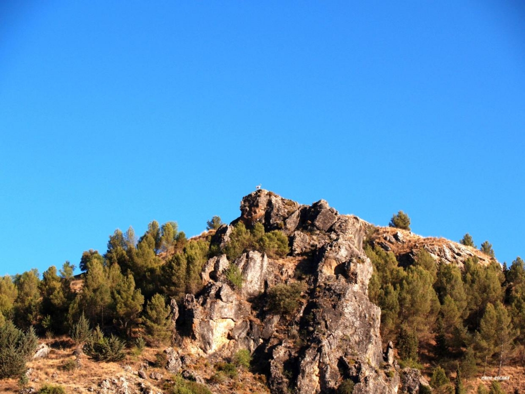 Foto de Granada (Andalucía), España