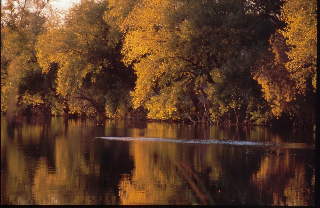 Foto de Salamanca (Castilla y León), España