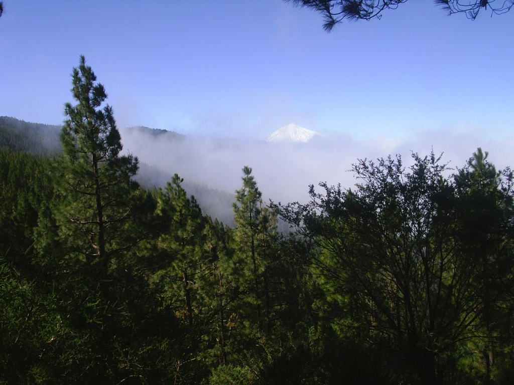 Foto de Tenerife (Santa Cruz de Tenerife), España