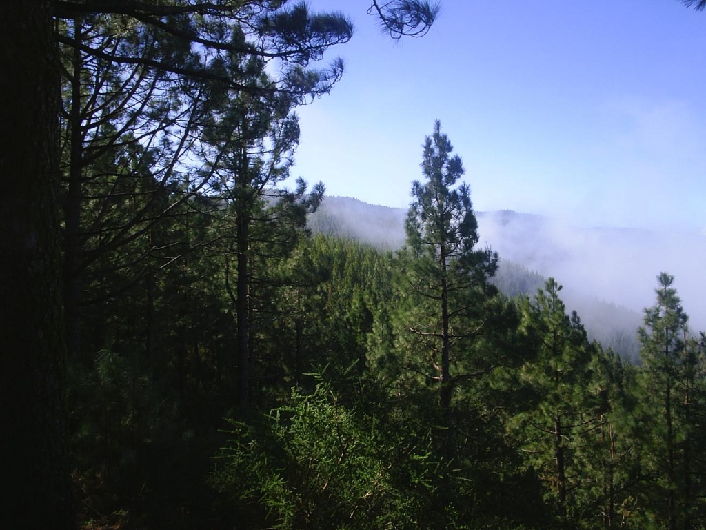 Foto de Mirador de Ortuño (Santa Cruz de Tenerife), España