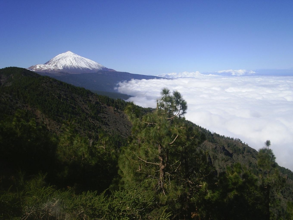 Foto de Tenerife (Santa Cruz de Tenerife), España