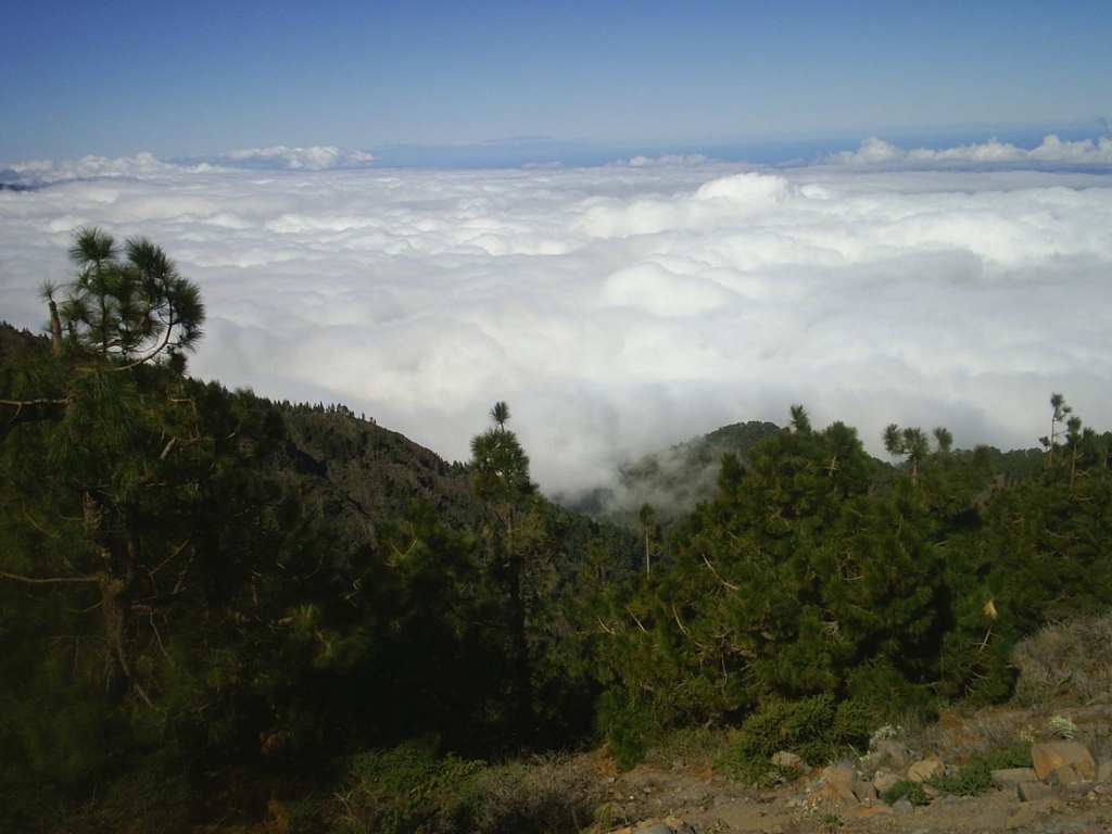 Foto de Tenerife (Santa Cruz de Tenerife), España