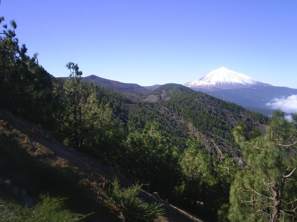 Foto de Tenerife (Santa Cruz de Tenerife), España