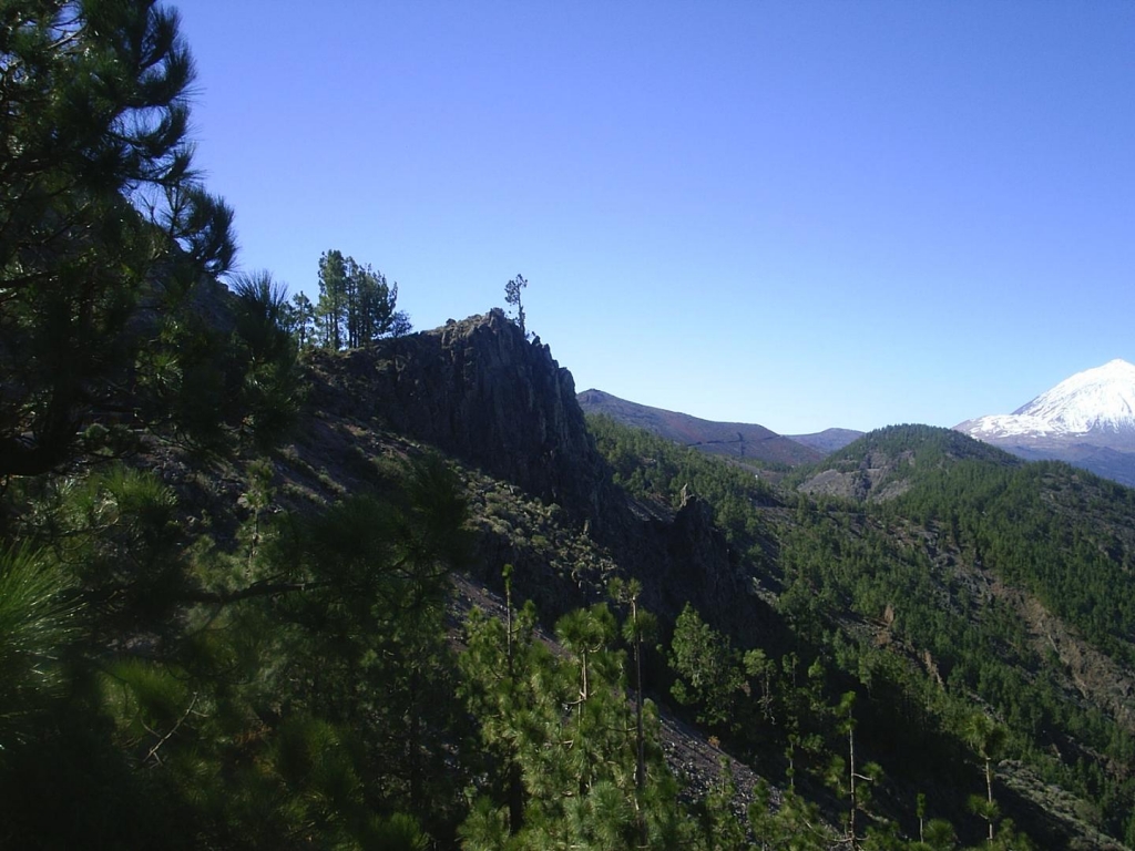 Foto de Tenerife (Santa Cruz de Tenerife), España