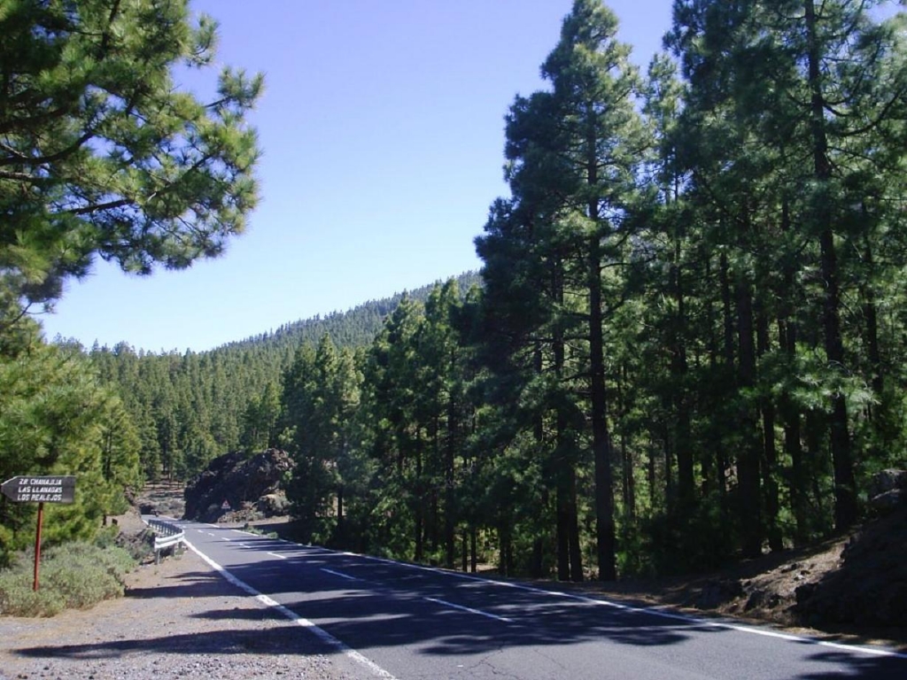Foto de Tenerife (Santa Cruz de Tenerife), España