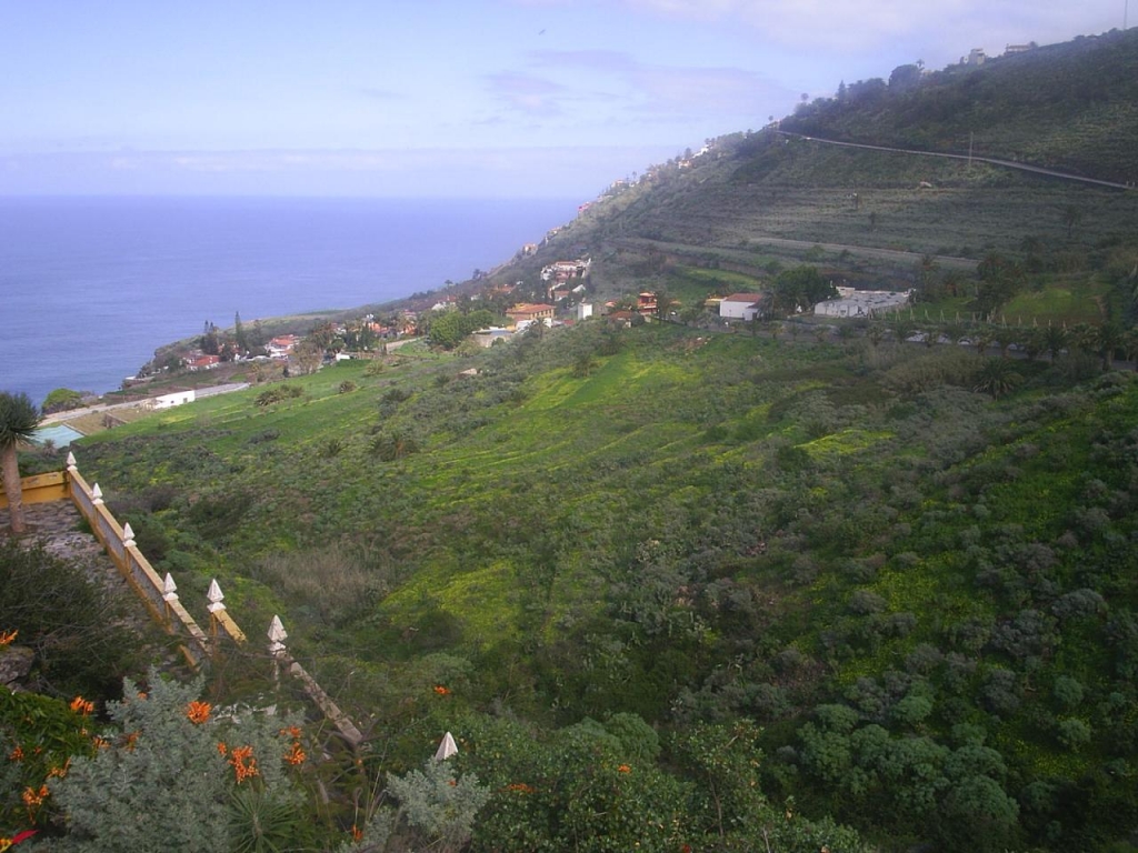 Foto de El Sauzal (Santa Cruz de Tenerife), España
