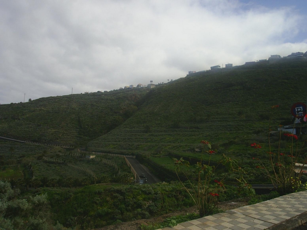 Foto de El Sauzal (Santa Cruz de Tenerife), España