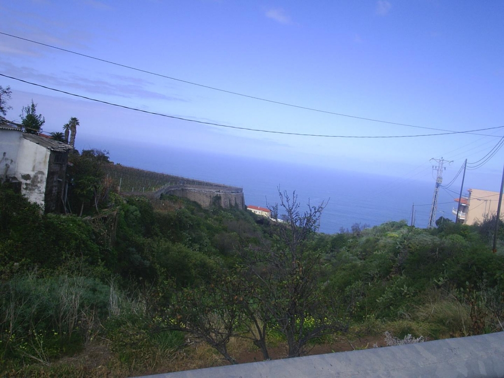 Foto de El Sauzal (Santa Cruz de Tenerife), España