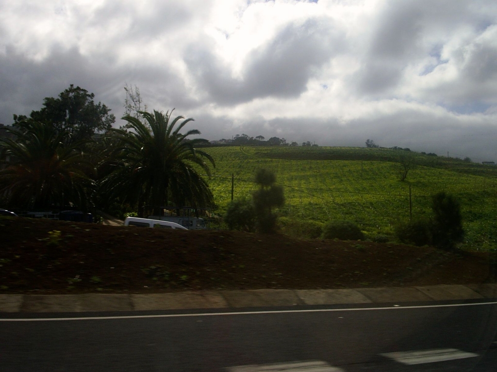 Foto de Tacoronte - Tenerife (Santa Cruz de Tenerife), España