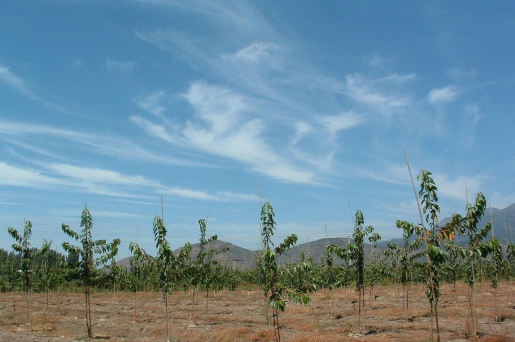Foto de San Fernando, Chile