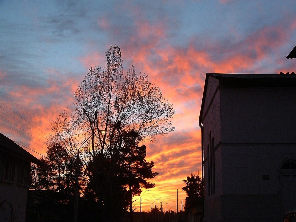 Foto de Casablanca, Chile