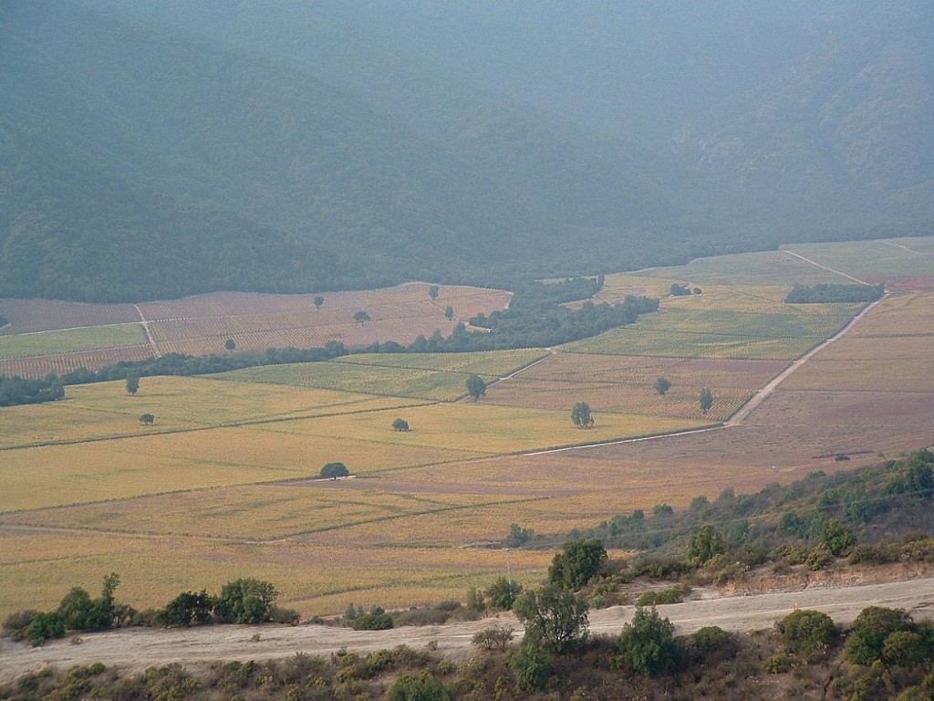 Foto de Casablanca, Chile