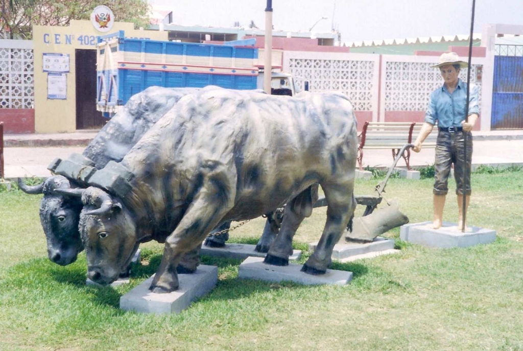 Foto de Camana, Perú