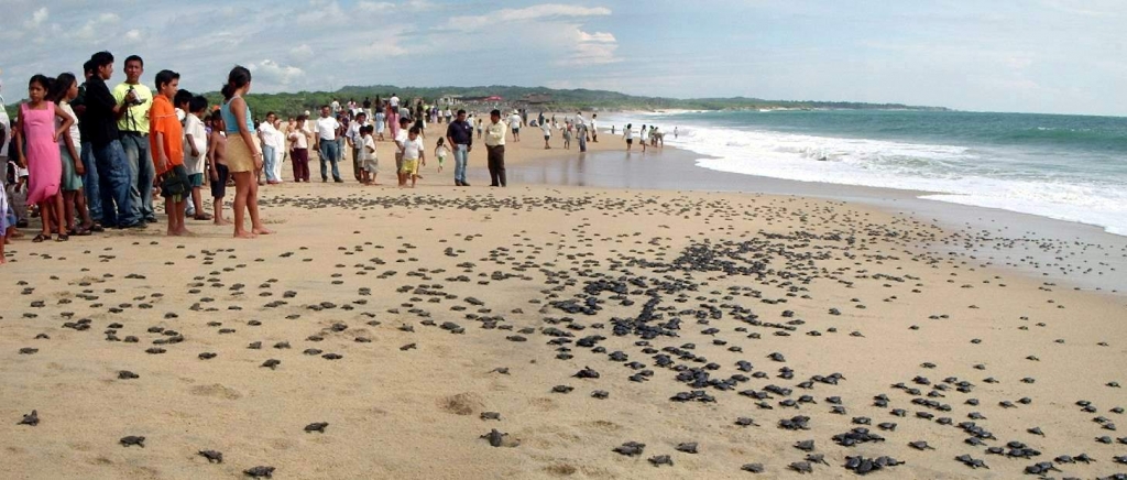 Foto de Ixtapilla, Michoacán, México