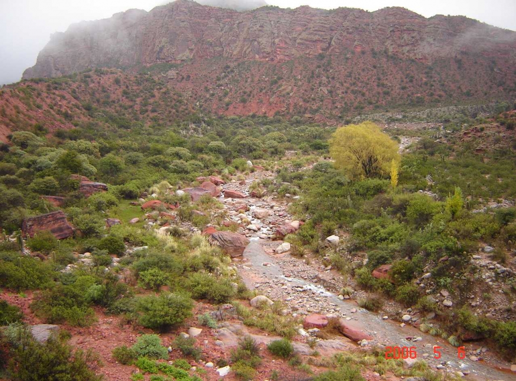 Foto de Chilecito, La Rioja., Argentina