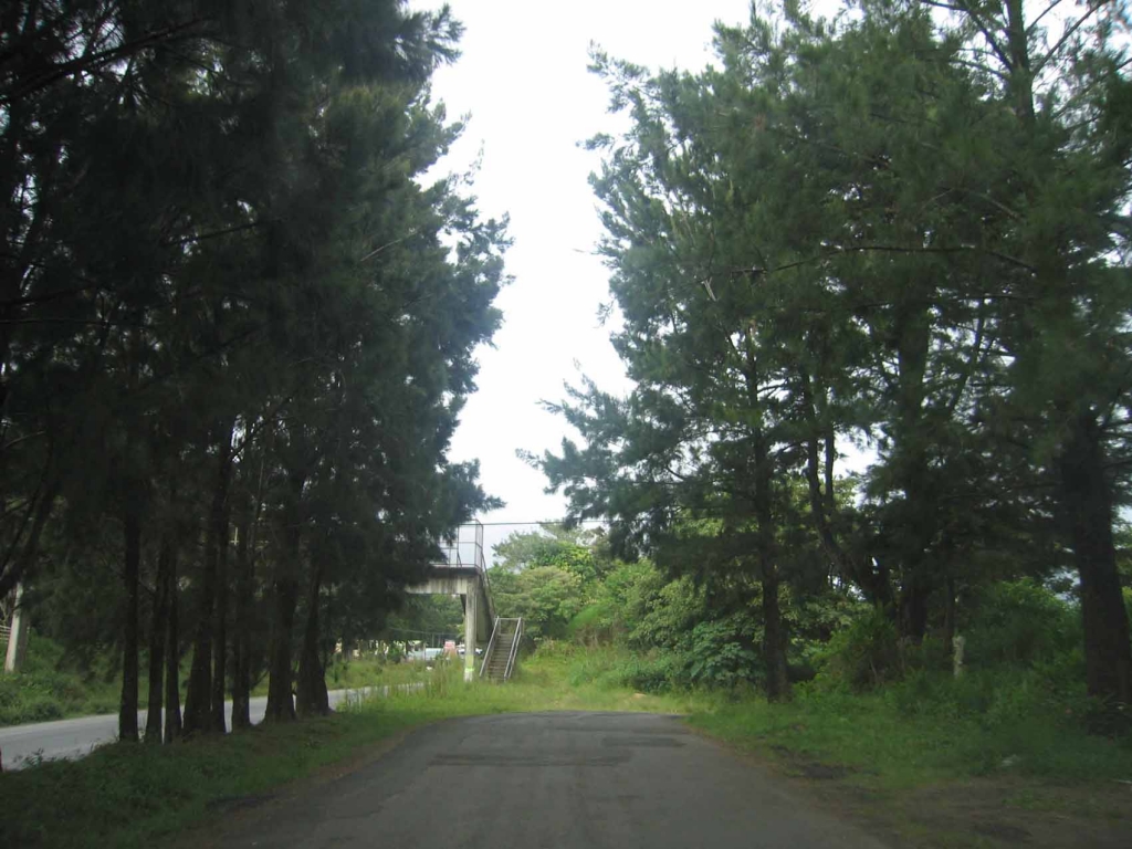 Foto de Santa Elena, Costa Rica