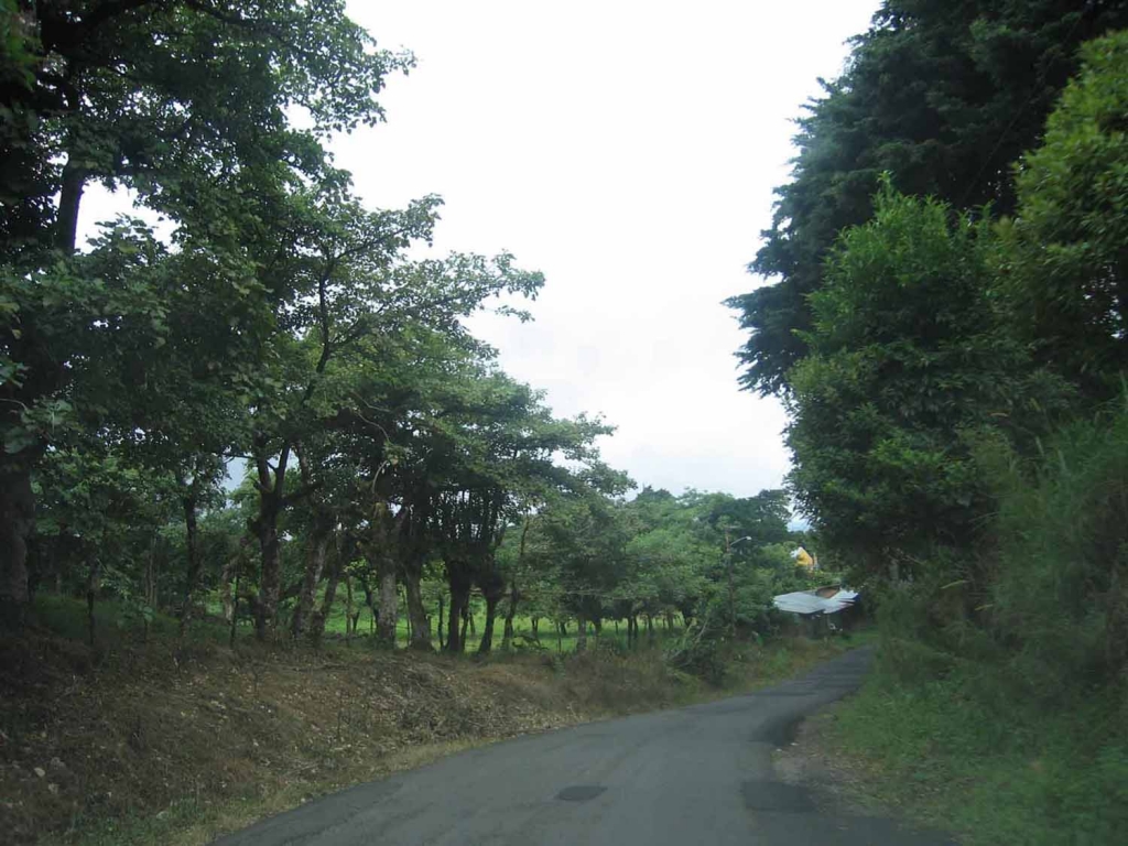 Foto de Santa Elena, Costa Rica