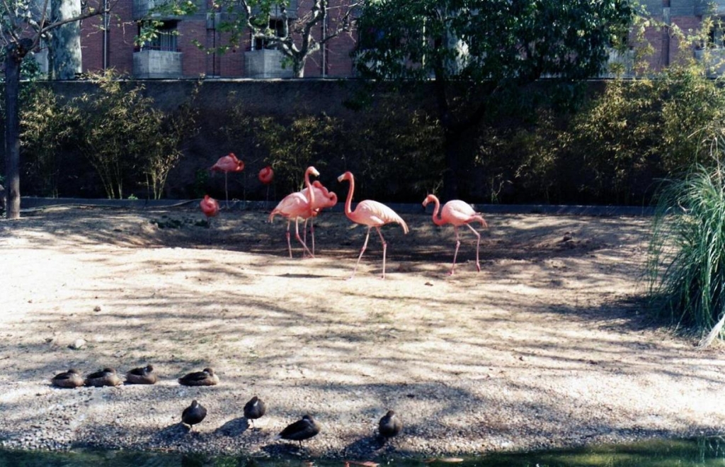 Foto de Barcelona (Cataluña), España
