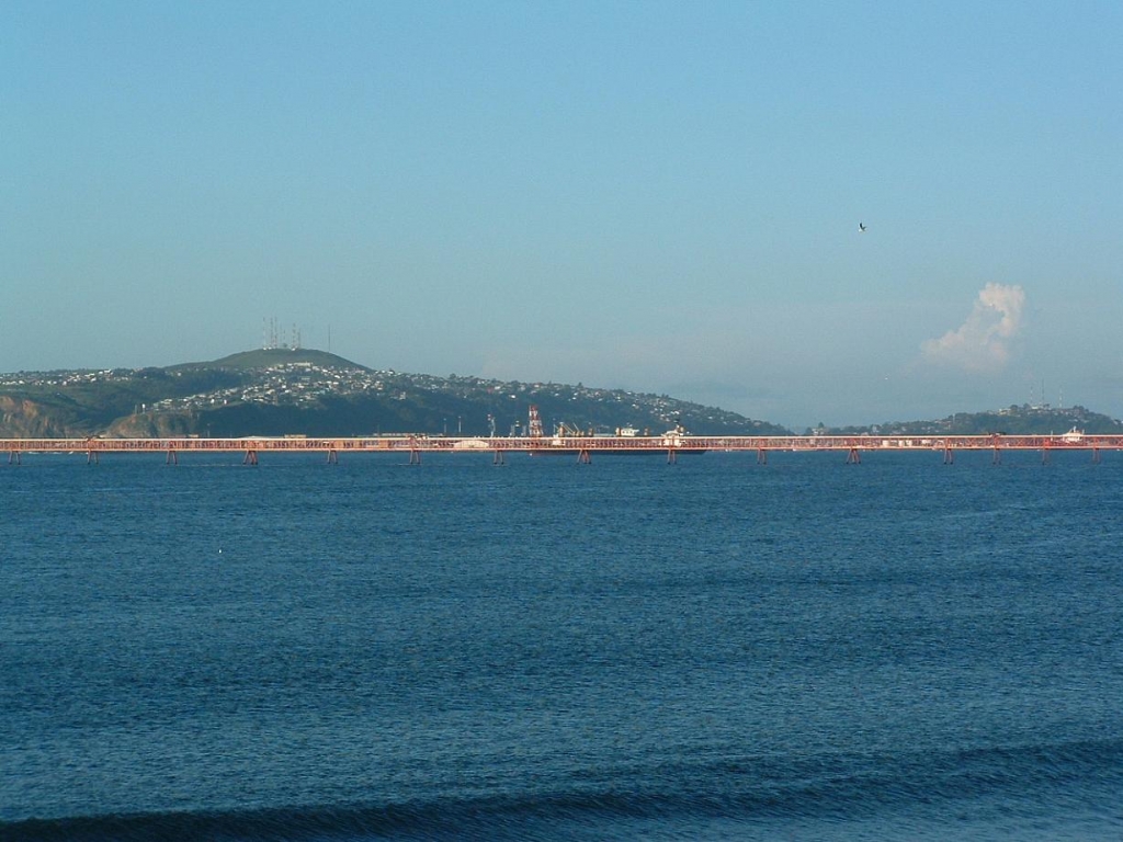 Foto de Lenga, Chile