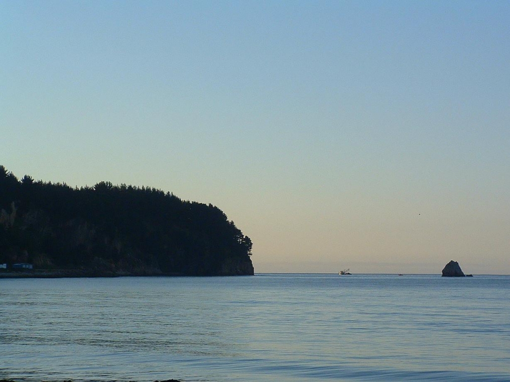 Foto de Lenga, Chile