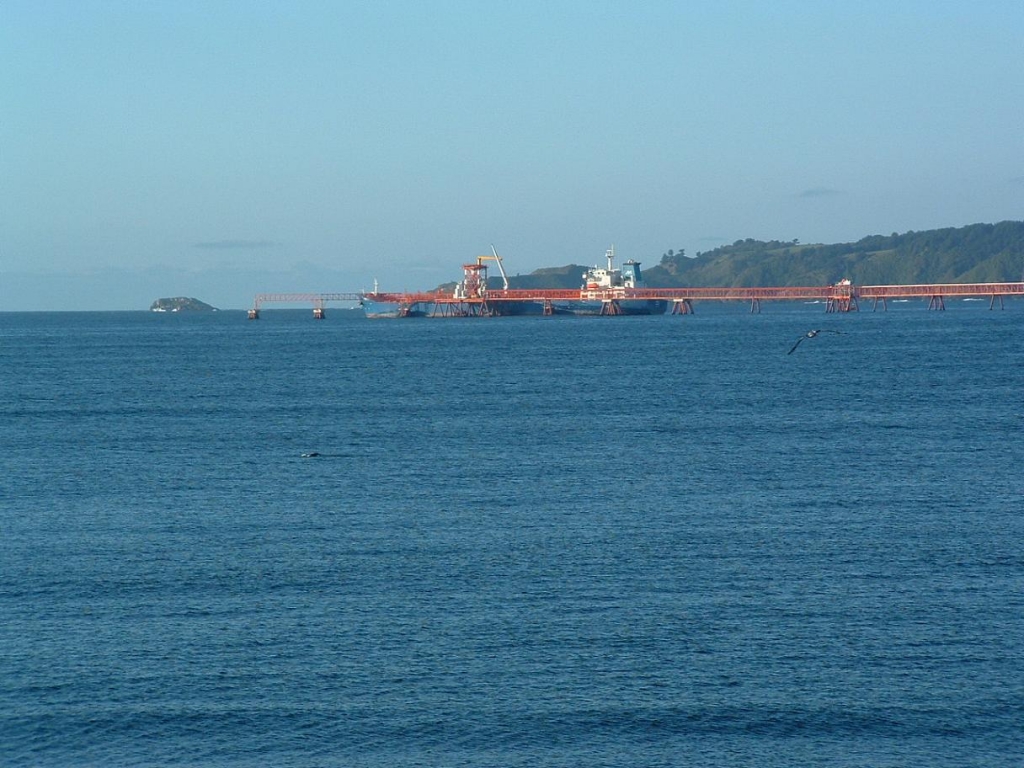 Foto de Lenga, Chile