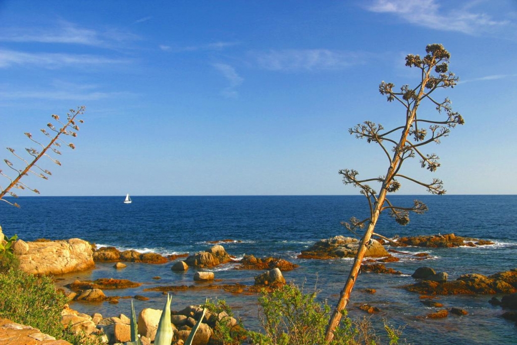 Foto de Palafrugell (Girona), España