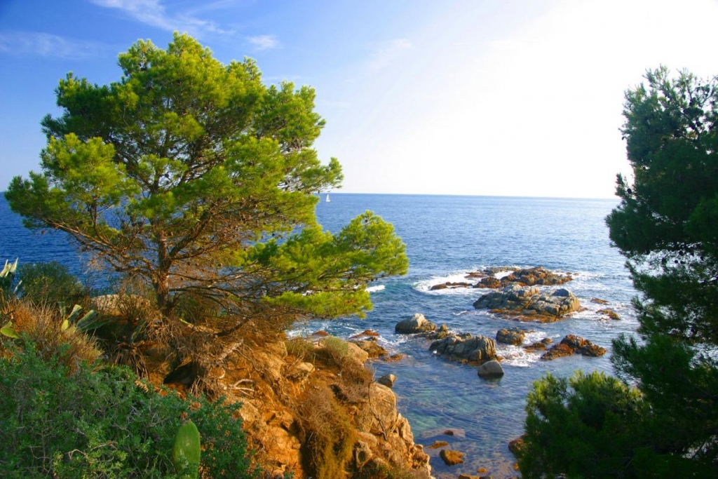 Foto de Palafrugell (Girona), España