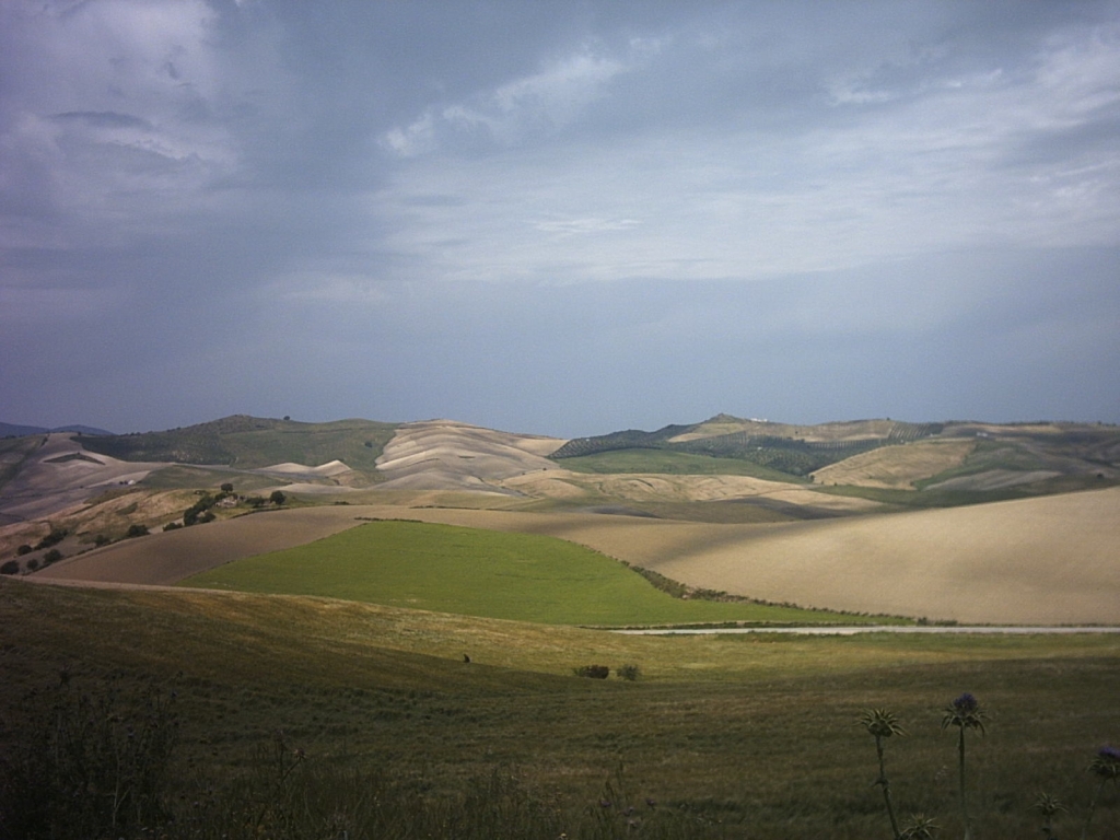 Foto de Sierra de Cádiz (Cádiz), España