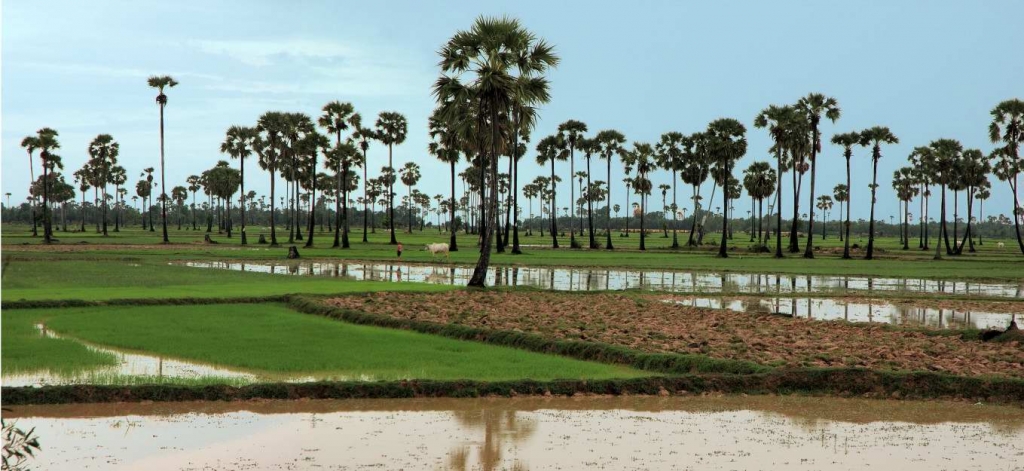 Foto de Phnom Penh, Camboya