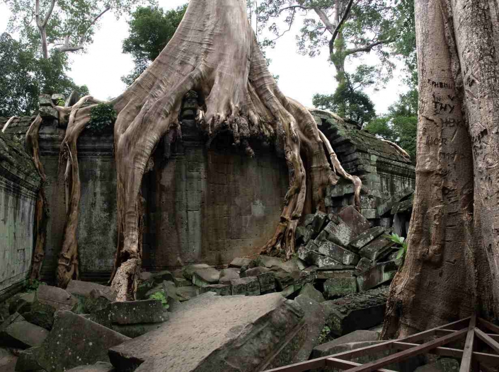 Foto de Siem Reap, Camboya