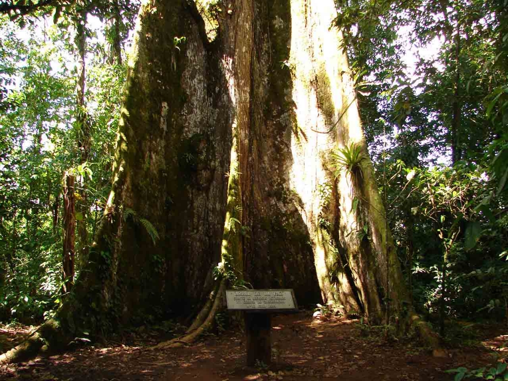 Foto de Guatuso, Costa Rica
