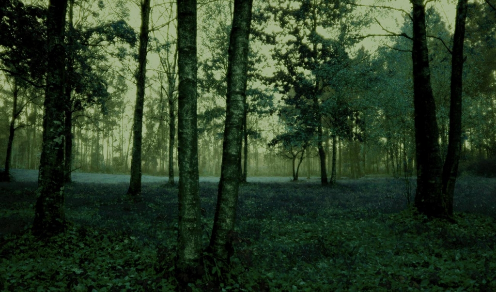 Foto de Cerceda (A Coruña), España