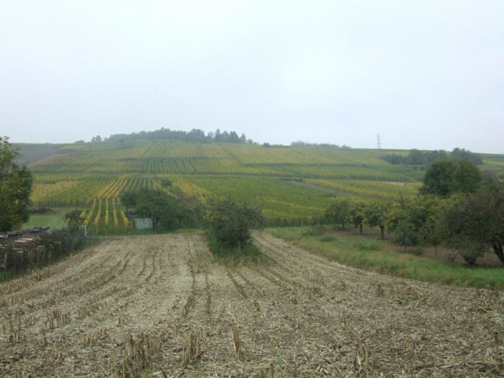 Foto de Dorlisheim, Francia