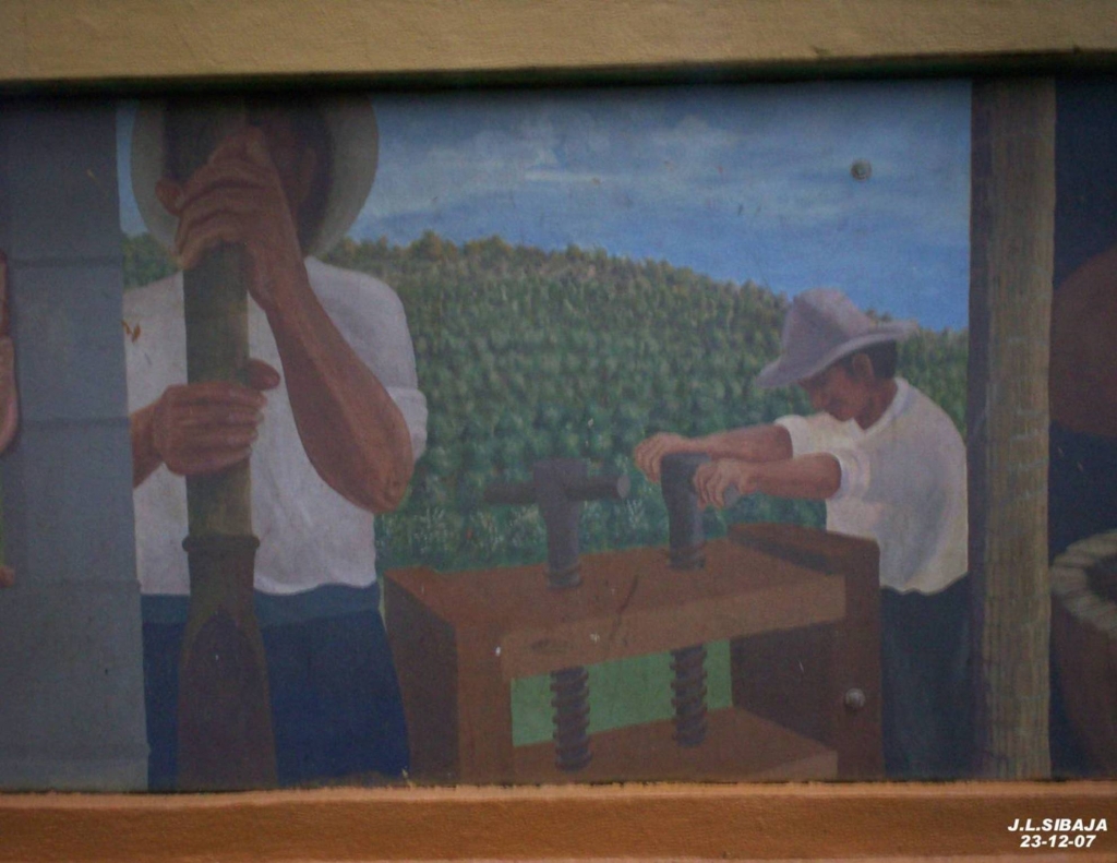 Foto de Palmares, Alajuela, Costa Rica