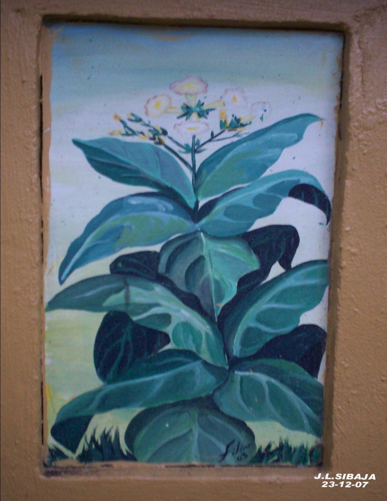 Foto de Palmares, Alajuela, Costa Rica