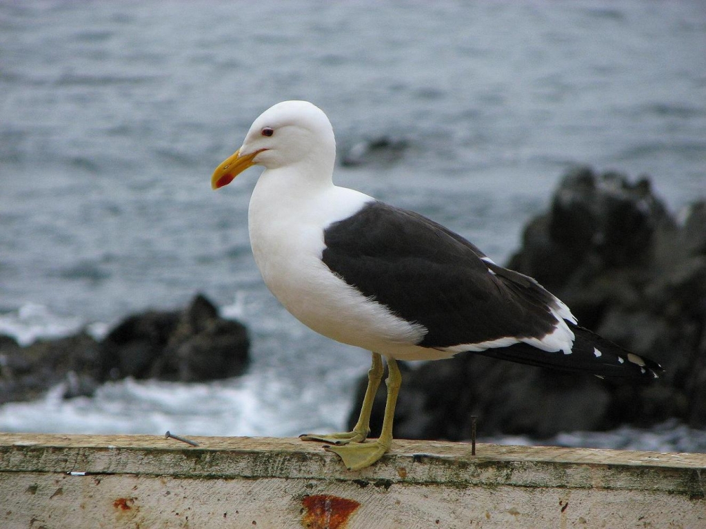 Foto de Quintay, Chile