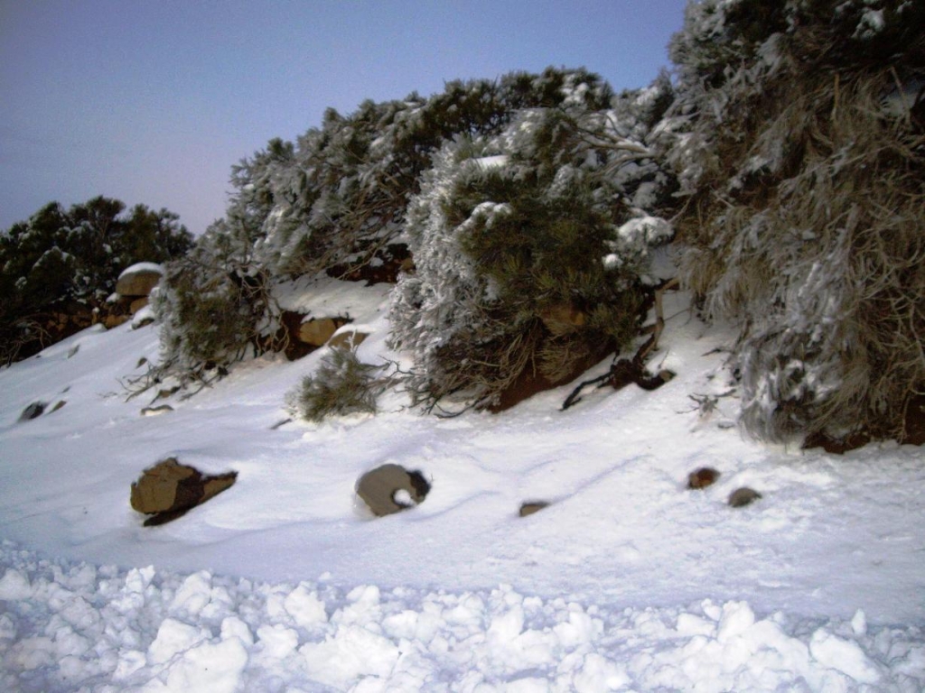 Foto de Las Cañadas del Teide - Tenerife (Santa Cruz de Tenerife), España