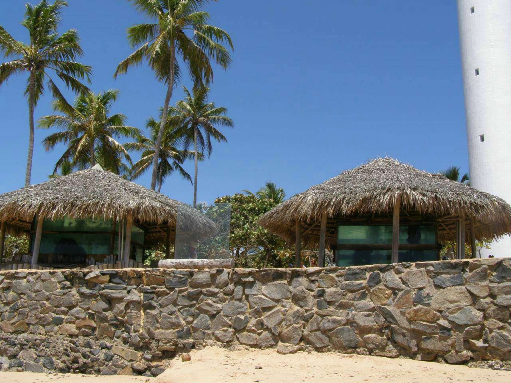 Foto de Salvador de Bahia, Brasil