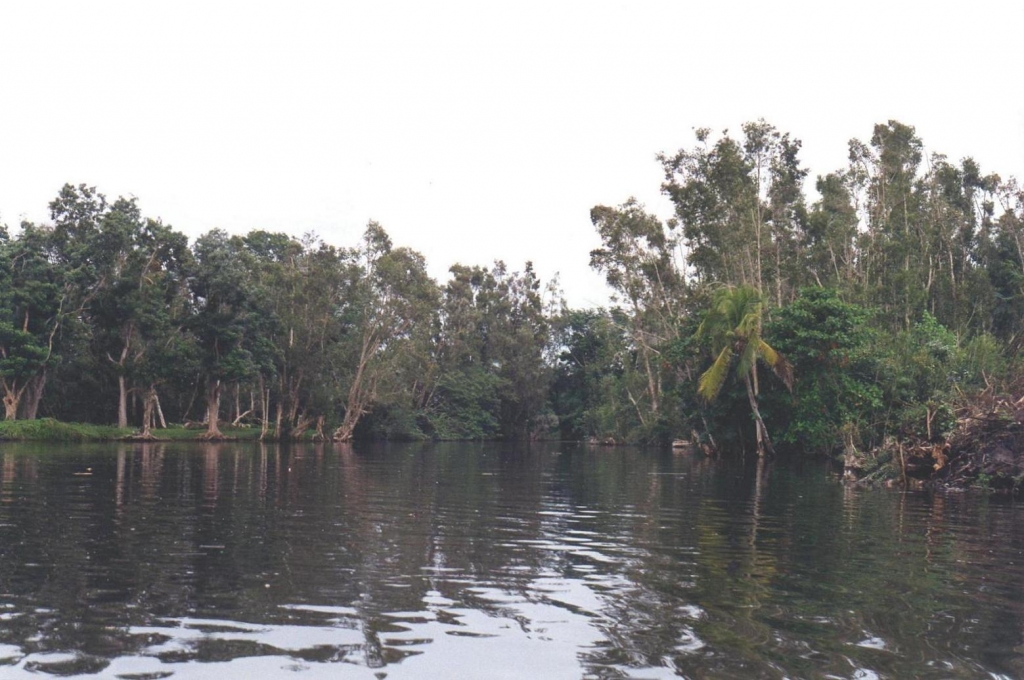 Foto de Guamá, Cuba