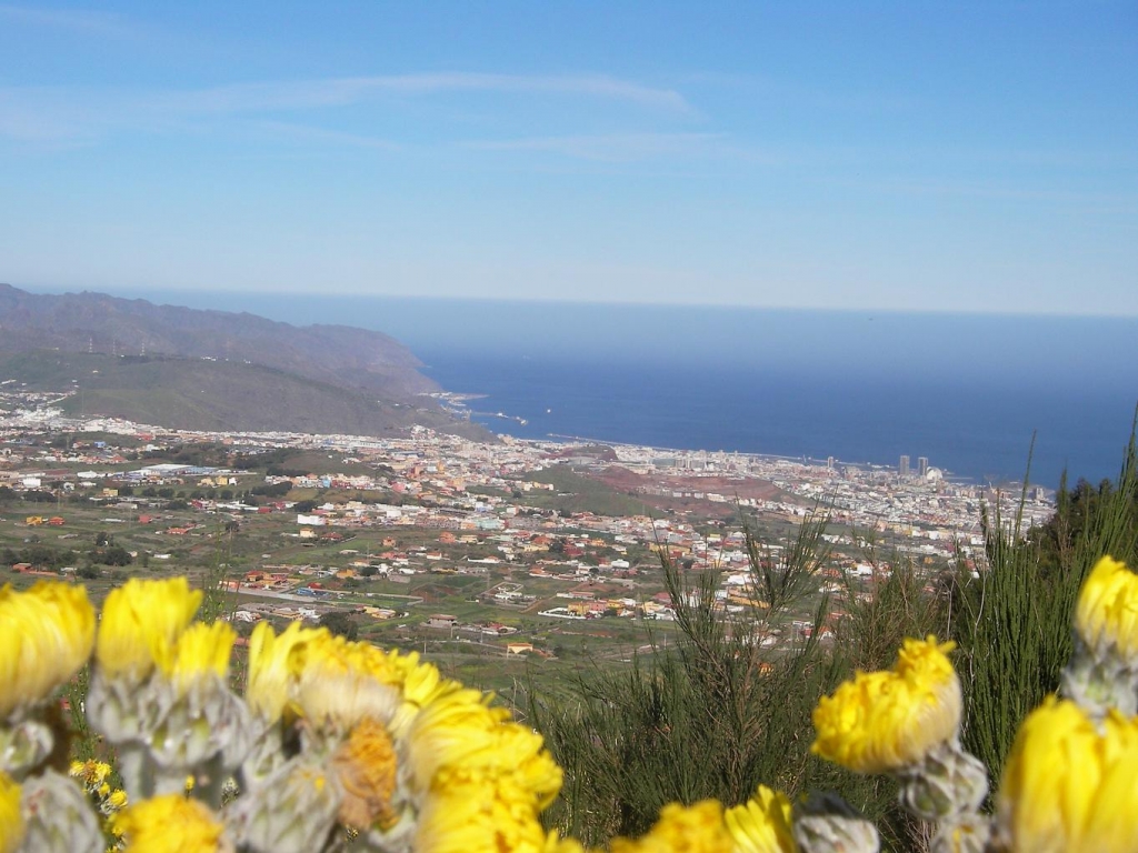 Foto de Santa Cruz de Tenerife (Canarias), España
